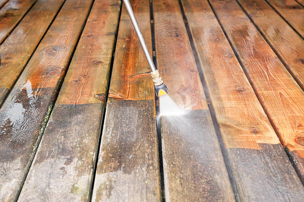 Best Animal Enclosure Cleaning  in Evendale, OH